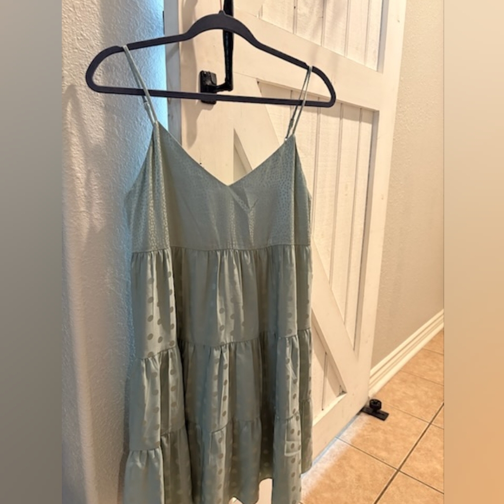 Naked Zebra Mint Tiered Dress